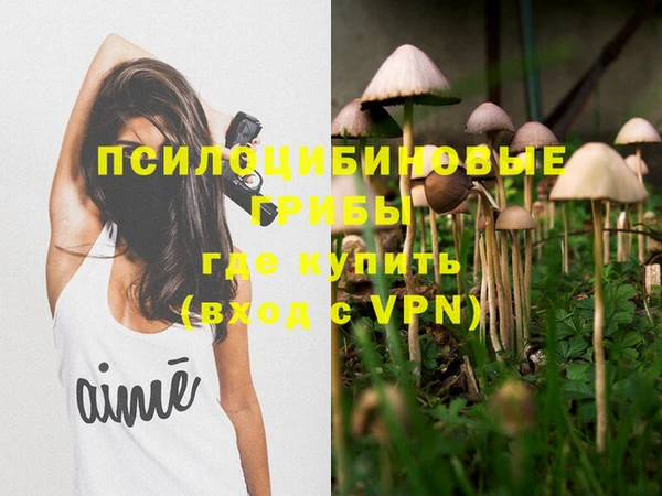 наркотики Гусь-Хрустальный