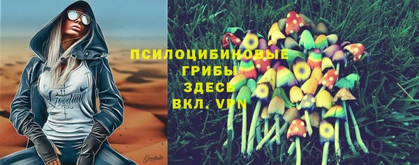 молекула духа Гусев